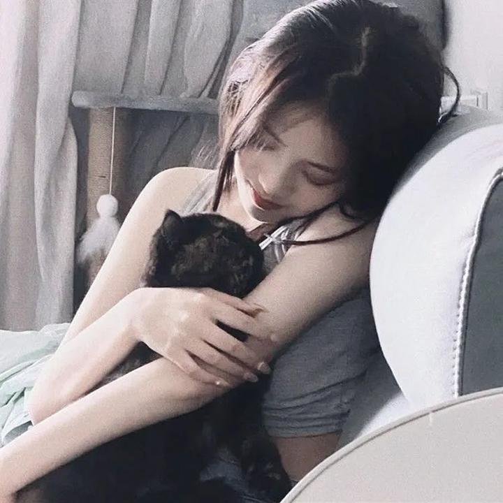 猛虎过山海报
