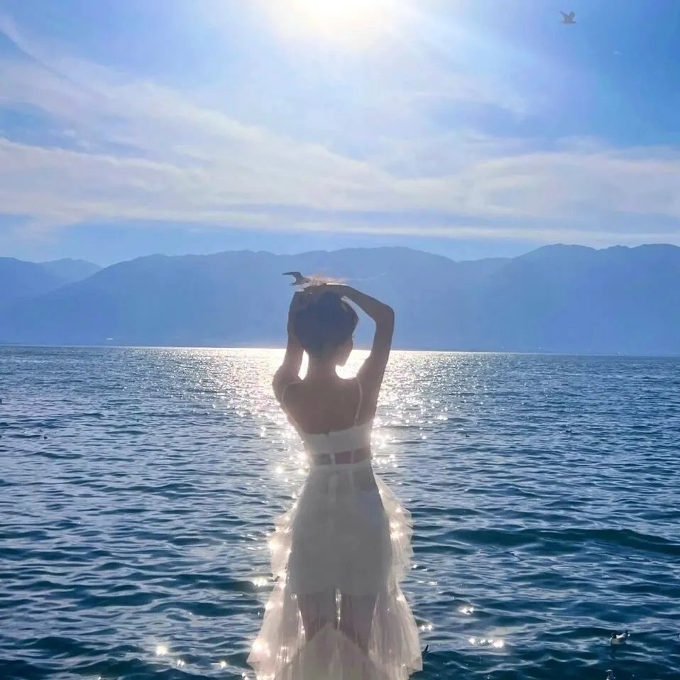 寻找爱丽丝吉海报
